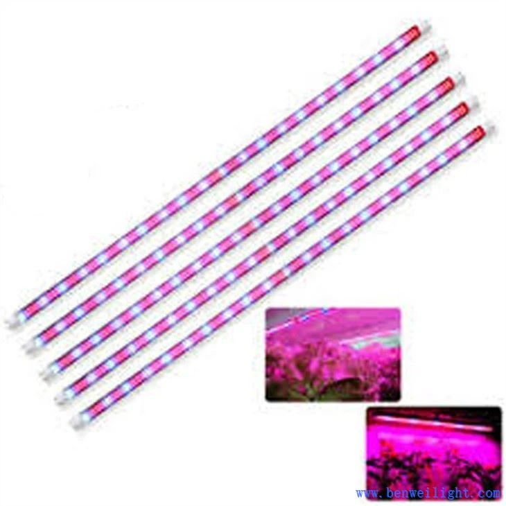 a good grow lights