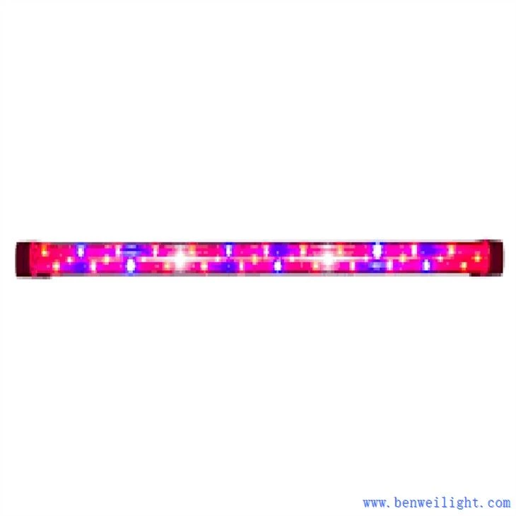 a grow light