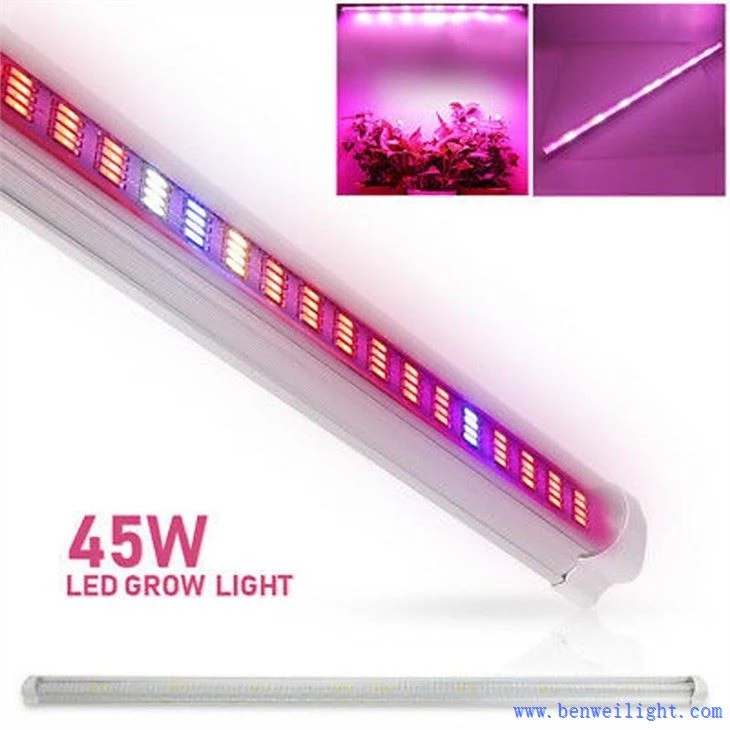 a grow light