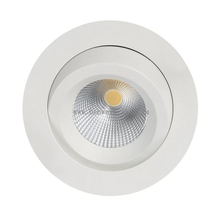 gimbal recessed led downlight (2)