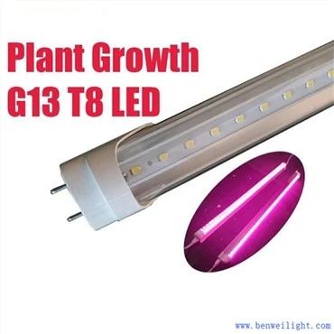 Plantengroei G13 T8 Led