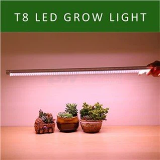 T8 LED groeien licht buis