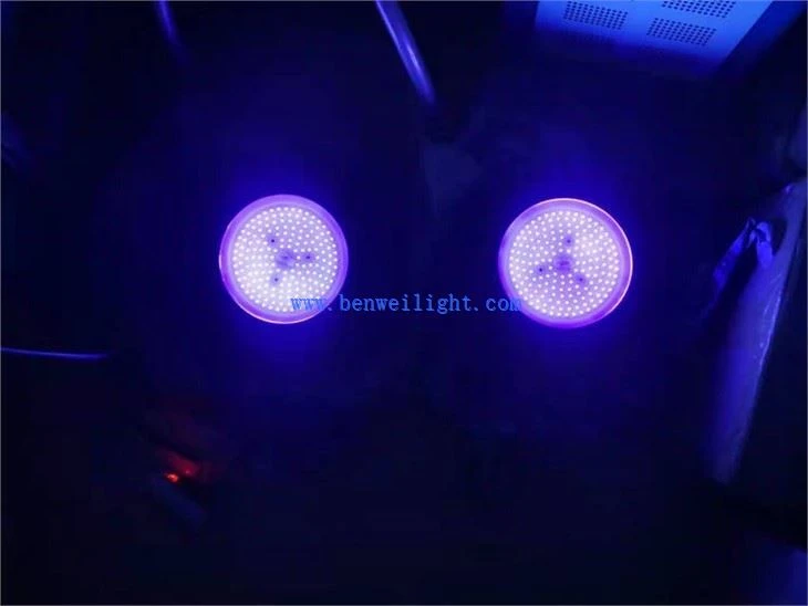 365nm 100w 200w 500w uv geleid zwart licht