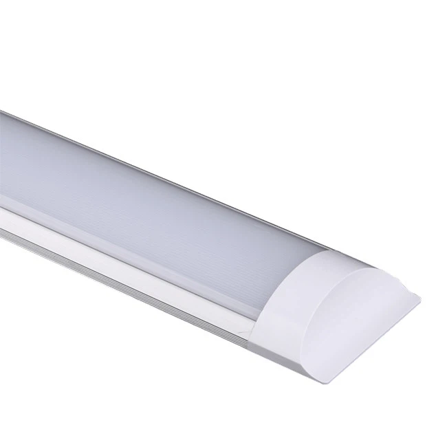 Led 4ft lat