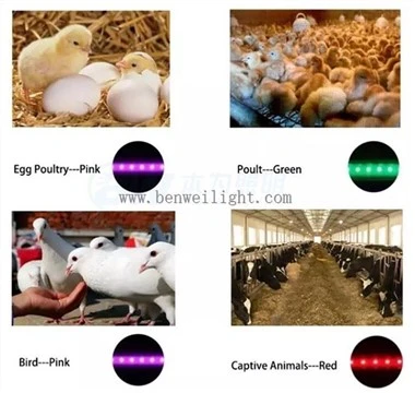 Verschillende kleuren LED-licht beïnvloedt laagproductie