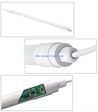 LED-verlichting in de pluimveeproductie