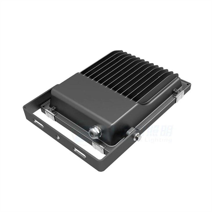 Floodlight Security Light
