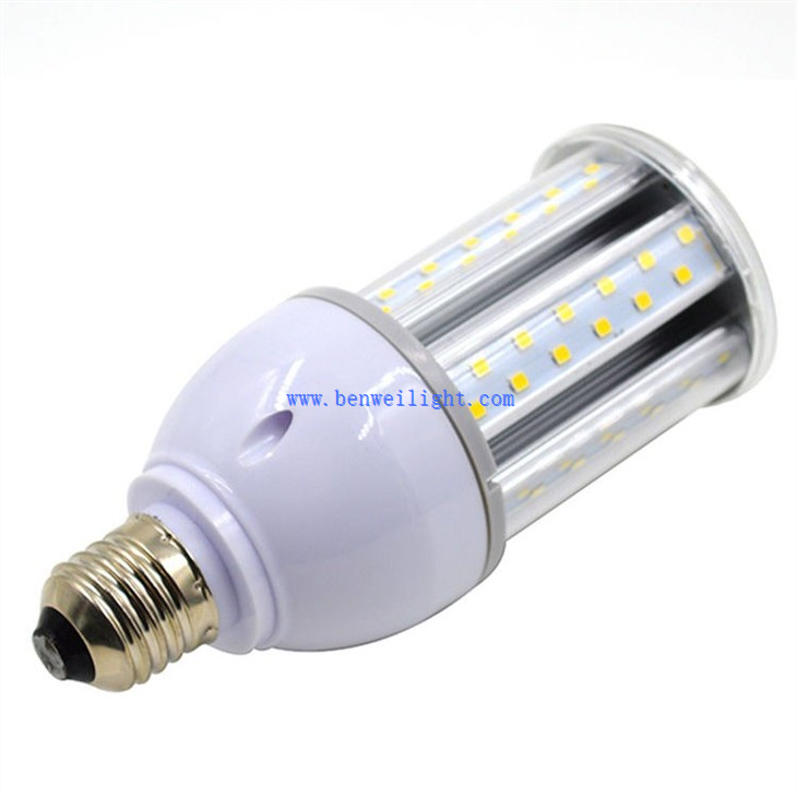 mogul light fixture