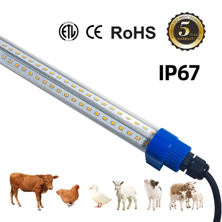 DC12V LED-pluimveeverlichting