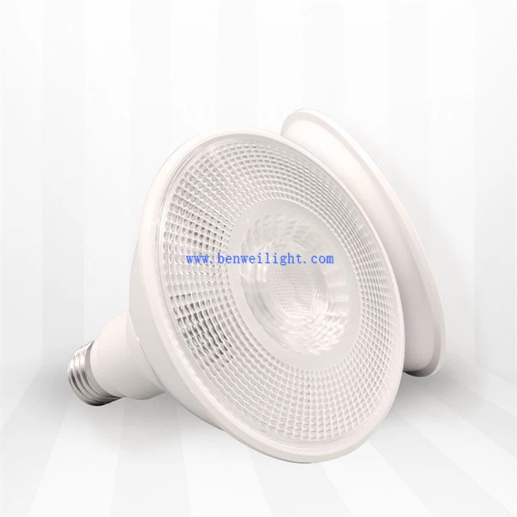 par38 light fixture