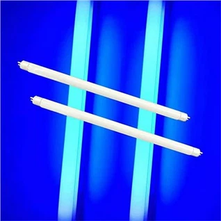 T8 Blacklight