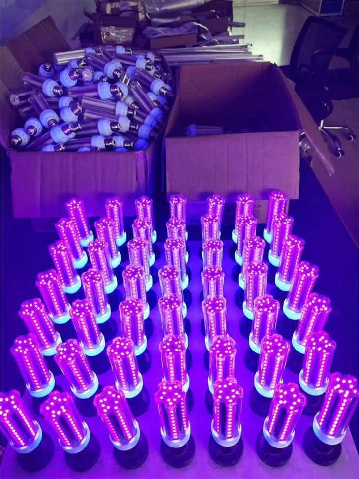 uv fluorescent lights