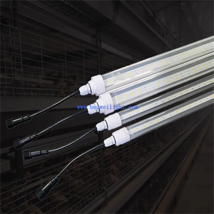 Henhouse Light Tubes (2)
