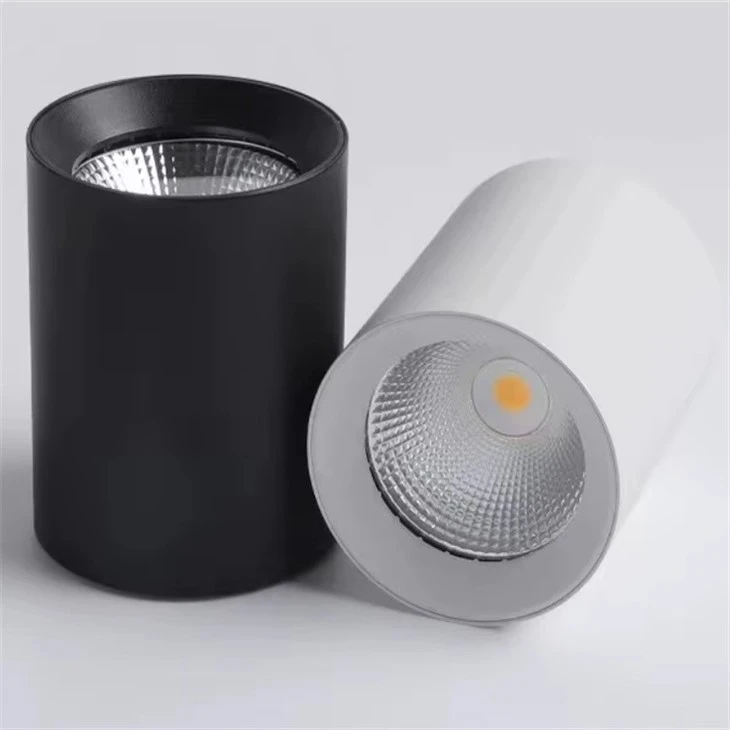 surface mounted round led ceiling light