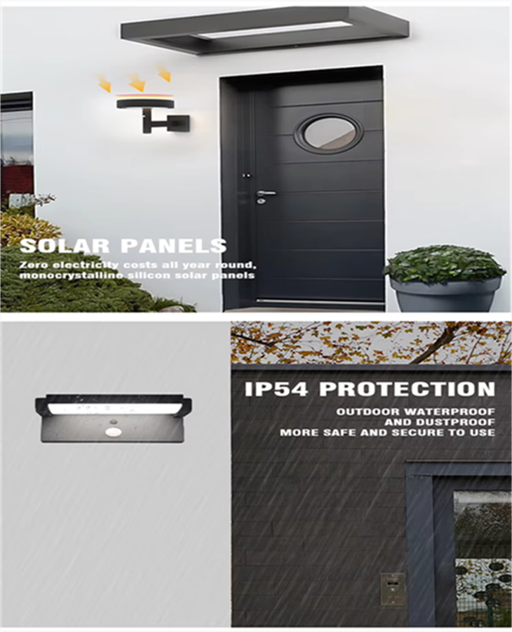 product-730-900 product-730-900
