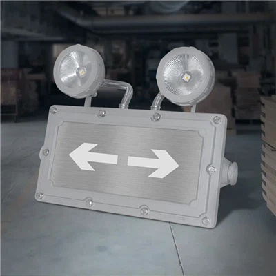 Explosie-veilige LED-uitgang met dubbele spot