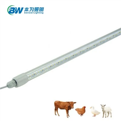 LED Pluimveebuislamp Waterdicht Dimbaar