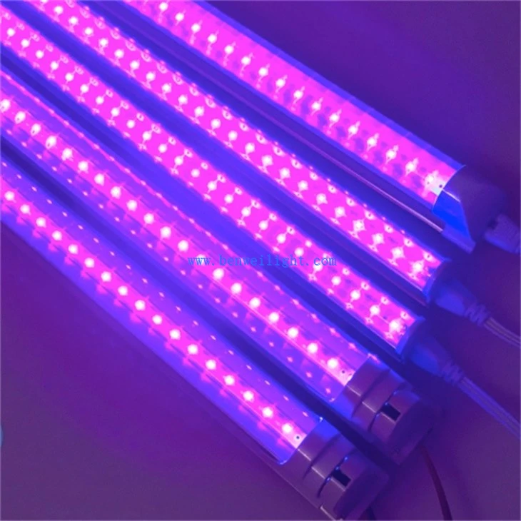 UV Virus Killer Light (2)